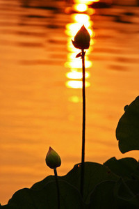 鲁尔山队大胜巴黎，引发一线冲刺