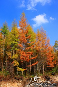 巴塞罗那锋线连续进球！