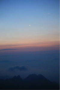 阿拉维斯客场告捷，积分榜位置不变