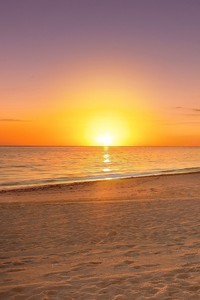 那不勒斯中锋连战连捷，成为进攻焦点