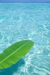 公牛主帅希望球队继续保持好状态