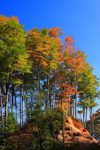 顶尖篮球俱乐部联赛燃爆全场