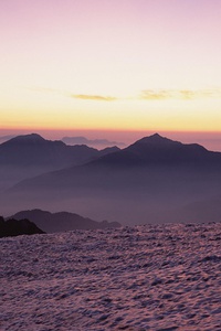 梅西梅开二度，巴萨主场大胜